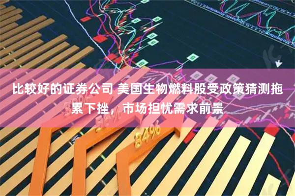 比较好的证券公司 美国生物燃料股受政策猜测拖累下挫，市场担忧需求前景