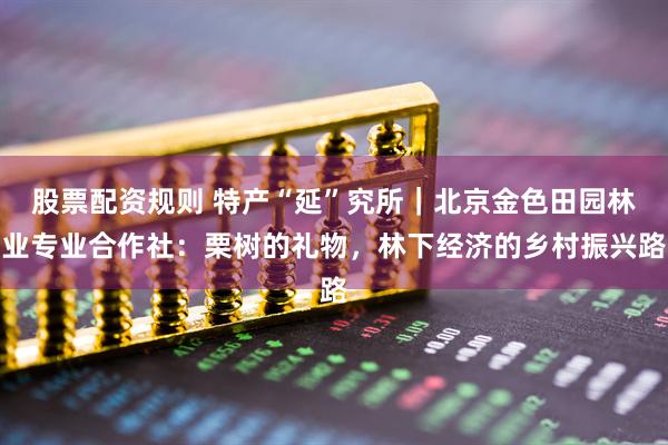 股票配资规则 特产“延”究所｜北京金色田园林业专业合作社：栗树的礼物，林下经济的乡村振兴路