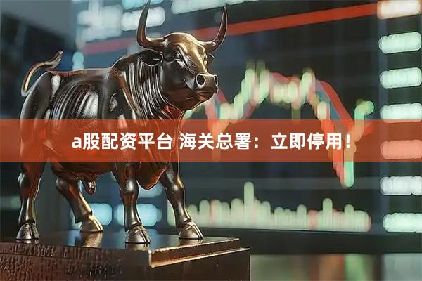 a股配资平台 海关总署：立即停用！