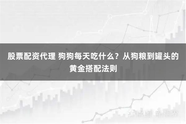 股票配资代理 狗狗每天吃什么？从狗粮到罐头的黄金搭配法则