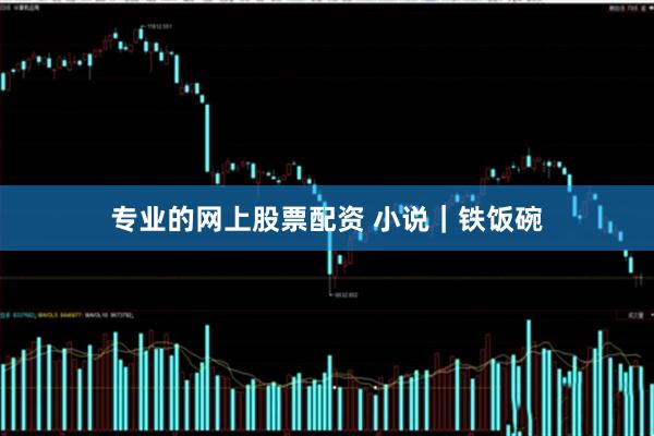 专业的网上股票配资 小说｜铁饭碗